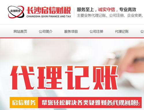 代理記賬服務 專業代辦，企業財務無憂